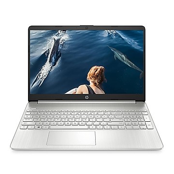 HP Laptop (8GB DDR4/512SSD/Wind 11)