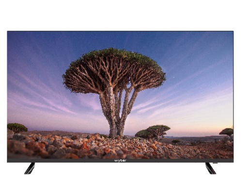 [43WFS-C9-G1] Wybor 43" Google FHD Led Tv 