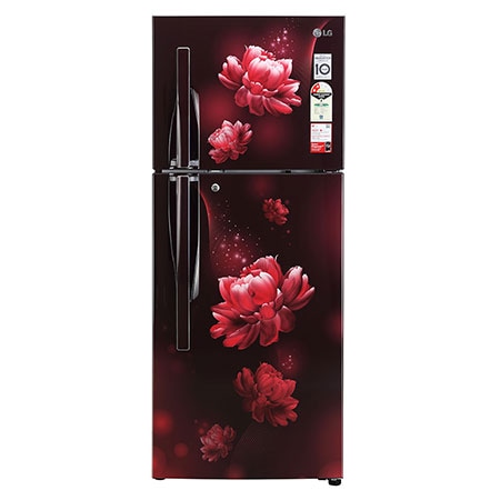 [GL-S292RSCY DSCZEBN] LG 240 Liter 2 Star Double Door Scarlet Charm Refrigerator