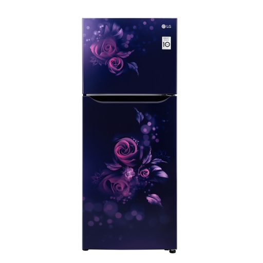 [GL-N292BBEY] LG 242 Liter 2 Star Double Door Blue Euphoria Refrigerator