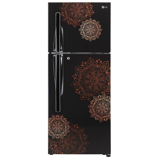 [GL-N292RERY] LG 260 Litres 2 Star Double Door Ebony Regal Refrigerator