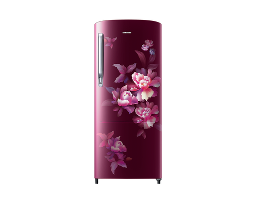 [RR20C2724HN/HL] Samsung 183 Liter 4 Star Single Door Refrigerator