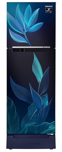 [RT28C31429U/HL] Samsung 236 Liter 2 Star Double Door Refrigerator