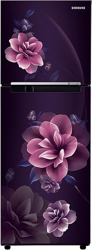 [RT28C3022CR/NL] Samsung 236 Liter 2 Star Double Door Refrigerator
