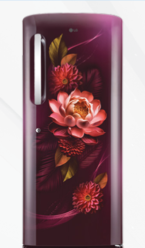 [GL-B241ARWD DRWZEBN] LG 224 Liter 3 Star Single Door Red Waterlilly Refrigerator