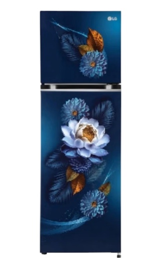 [GL-S292SBWY DBWZEBN] LG 240 Liter 2 Star Double Door Blue Waterlily Refrigretor