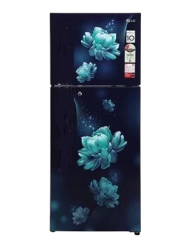 [GL-N292BBCY DBCZEBN] LG 242 Liter 2 Star Double Door Blue Charm Refrigerator