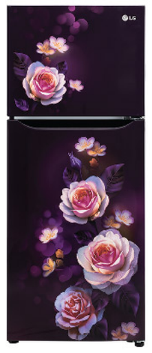 [GL-N292DPBY DPBZEBN] LG 242 Liter 2 Star Double Door Purple Bloom Refrigerator