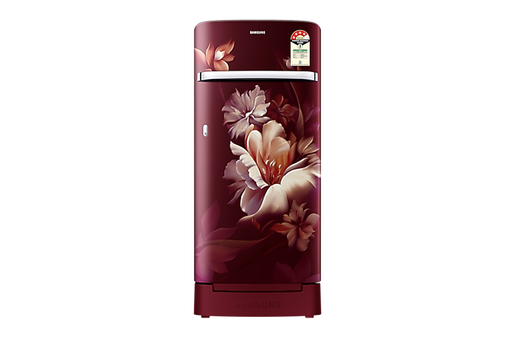 [RR21H2h24RZ] Samsung 189 Litre 4 Star Single Door Refrigerator