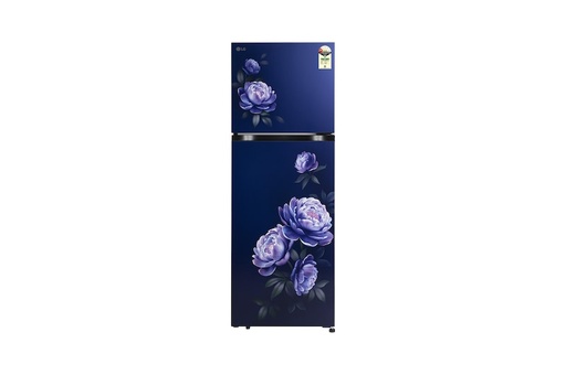 [T2516WWRG ARGZEBN] LG 251 Litre 1 Star Double Door Refrigerator