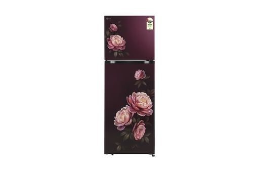 [T2516WWWG AWGZEBN] LG 251 Litre 1 Star Double Door Refrigerator