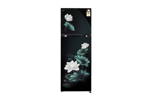 [T2526XWEL AELZEBN] LG 251 Litre 2 Star Convertable Double Door Refrigerator