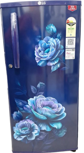 [D1816WORR DRRZPST] LG 180 Litre 1 Star Single Door Refrigerator