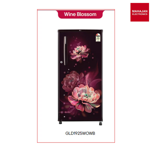 [D1925WOWB AWBZEBN] LG 185 Litre 2 Star Single Door Refrigerator