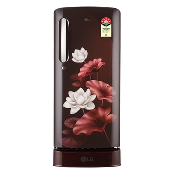 [D1956ZASL ASLZEBN] LG 185 Litre 5 Star Single Door Refrigerator