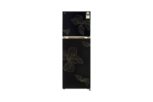 [GL-T2516WXRO AROZEBN] LG 251 Liter 1 Star Double Door Frost Free Refrigerator