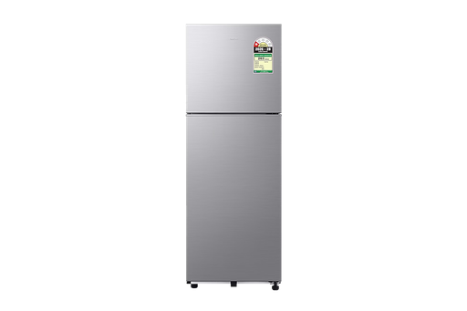 [RT40H28W1QNL] Samsung 236 Liter 1 Star Double Door Refrigerator