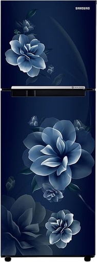 [RT28C3022CU/NL] Samsung 236 Liter 2 Star Double Door Camellia Blue Refrigerator